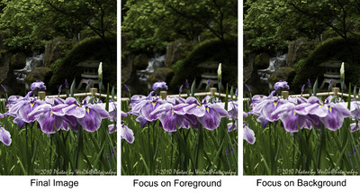 Focus Blending with Photoshop CS5 